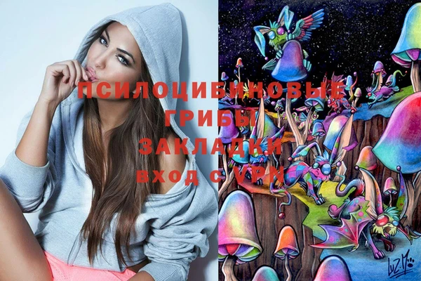 амф Бородино