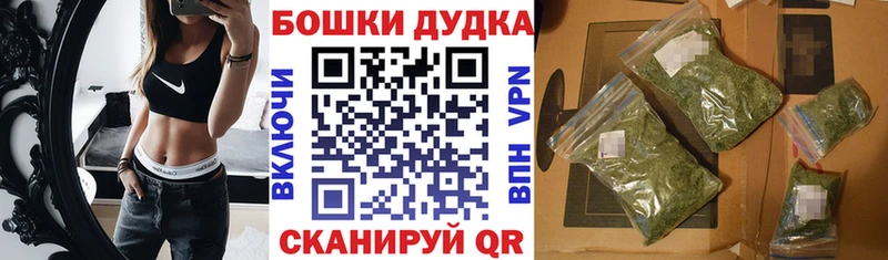 Марихуана OG Kush ссылка на мегу зеркало Каменка где купить наркоту